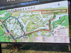 -盐城丹顶鹤湿地生态旅游区