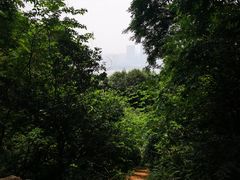 -岳麓山风景名胜区