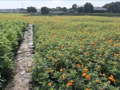 -江苏三台山国家森林公园