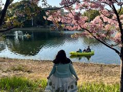 -新江湾城公园
