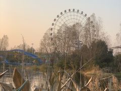 -洋湖国家湿地公园