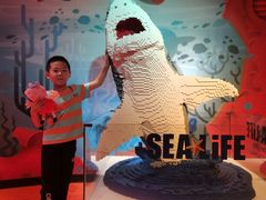 -沈阳海洋探索中心