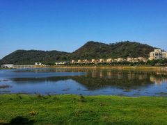 -风云岭森林公园