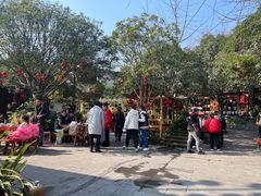 -青城甲(青城山店)