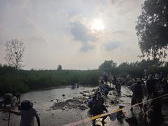 -绿堤公园