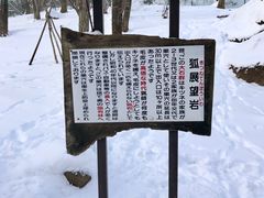 -宫城藏王狐狸村