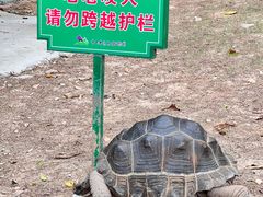 -紫马岭公园
