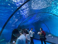 -泉城欧乐堡海洋极地世界