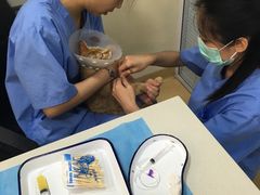 -瑞派·关忠动物医院(国瑞店)