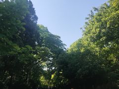 -大连植物园