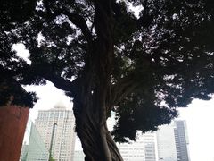 -南越王博物院(王宫展区)