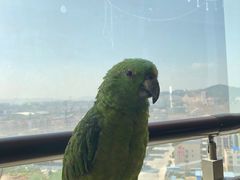 -酱壹老三饵丝(南宁南路店)