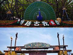 -呀路古热带植物园