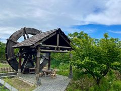 -同里国家湿地公园