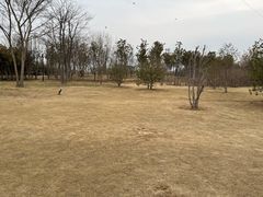 -象湖生态湿地公园