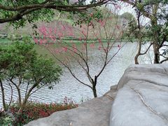 -重庆园博园