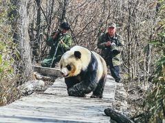 -西安大唐西市博物馆