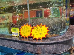 -旺豪阳光超市(友谊阳光城店)