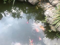 -香园自助小火锅