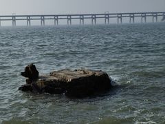 -星海湾跨海大桥