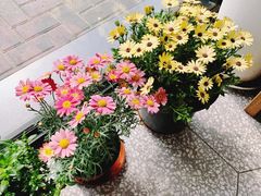 大堂-Dal Cuore 达可芮冰淇淋(陕西北路店)