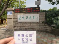 -嘉定紫藤园