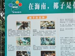 -万兴启丰椰子文化园餐厅
