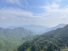 -大岭沟猕猴桃谷风景区