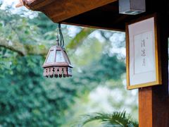 -普陀山雷迪森庄园