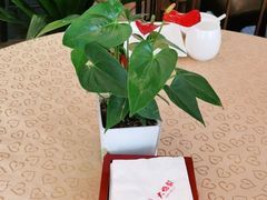 -大鸭梨(天通西苑店)
