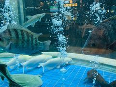 -客家汇·客家传承菜(水库店)