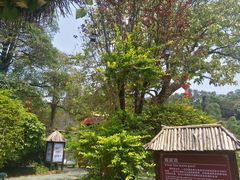 -森波拉火山温泉