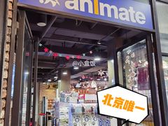 -Animate(工人体育场东路店)