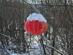 -青藤汗蒸时代会所