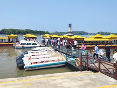 -溱湖国家湿地公园