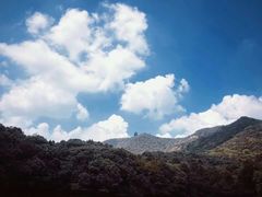 -杭州半山国家森林公园