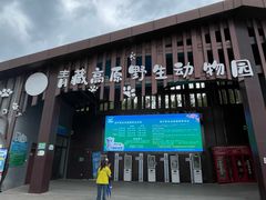 -青藏高原野生动物园