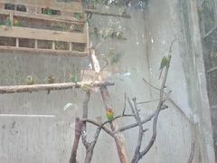 -昆明动物园