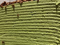 抹茶千层-無邪日式甜品(世博源店)