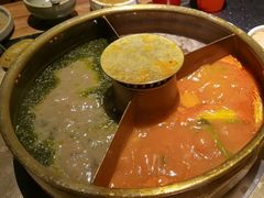 -巴奴毛肚火锅(九洲店)