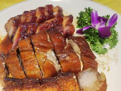 烧味拼盘-新高记·粤菜·湛江鸡(南头古城店)