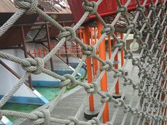 -中国福利会少年宫