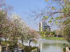 -海珠湖公园