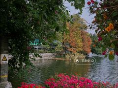 -荔湾湖公园