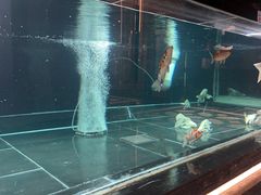-北京海德酒店温泉