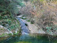 -王顺山国家森林公园