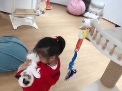 -1013 PET SHOP精品宠物商店(丁香店)