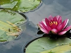-苏州东山雕花楼宾馆