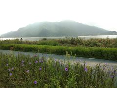 -羚羊峡古栈道森林公园