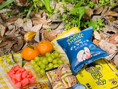 -桤木河湿地公园